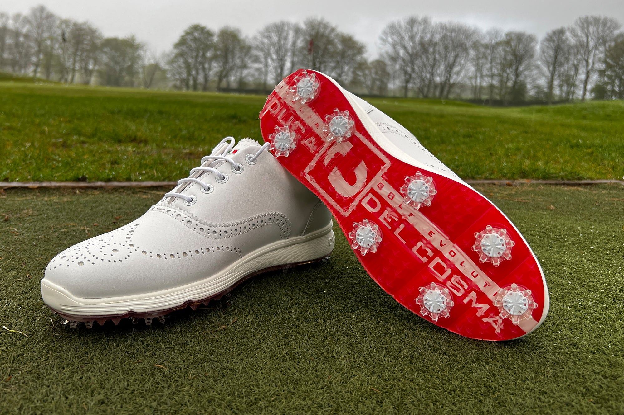 Spike golf shoes online