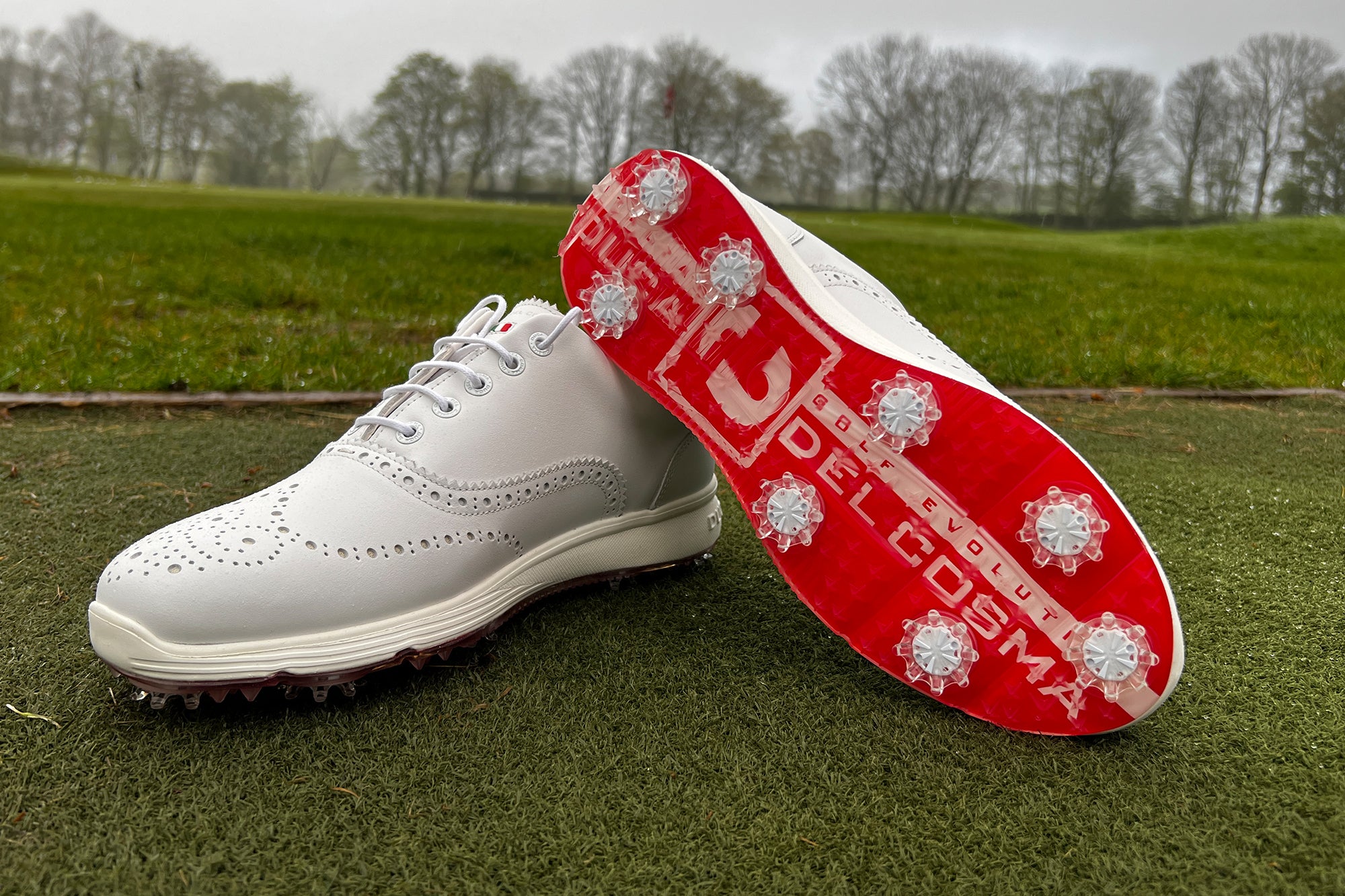 What's better Spiked Golf Shoes or Spikeless Golf Shoes